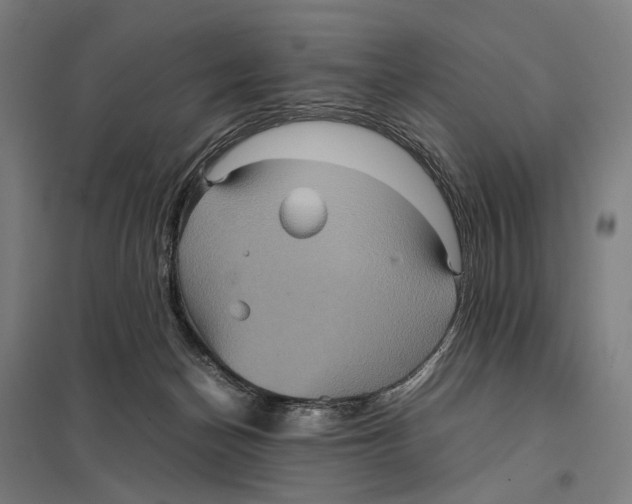 X0000097760174200803281642