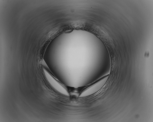 X0000097760176200803281642