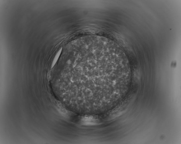 X0000097760177200803281642