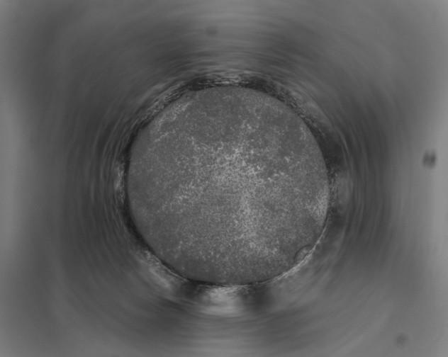 X0000097760178200803281642