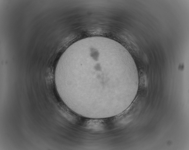 X0000097760179200803281642