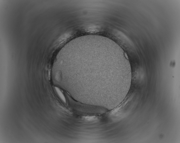 X0000097760180200803281642