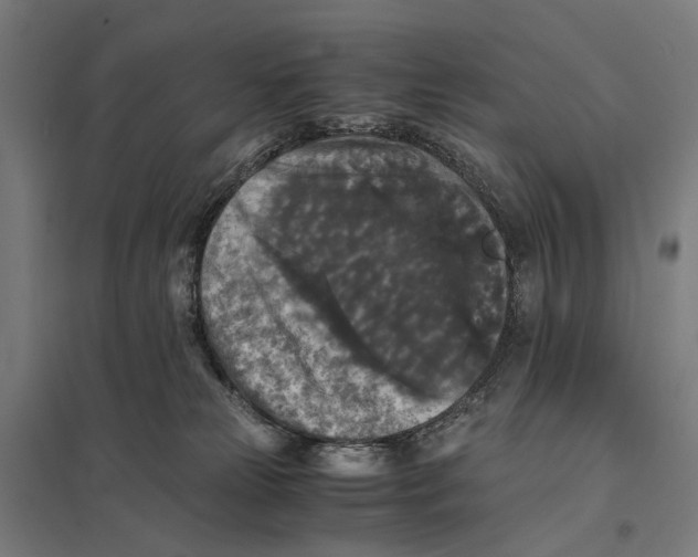 X0000097760181200803281642