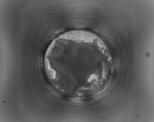 X0000097760182200803281642