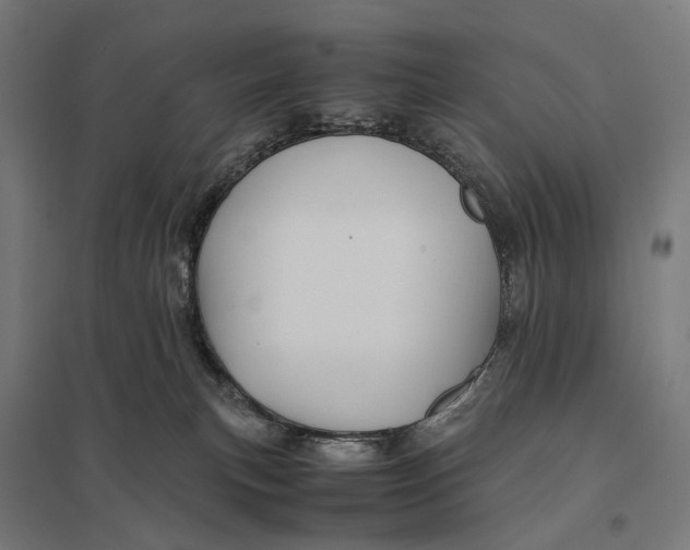 X0000097760183200803281642