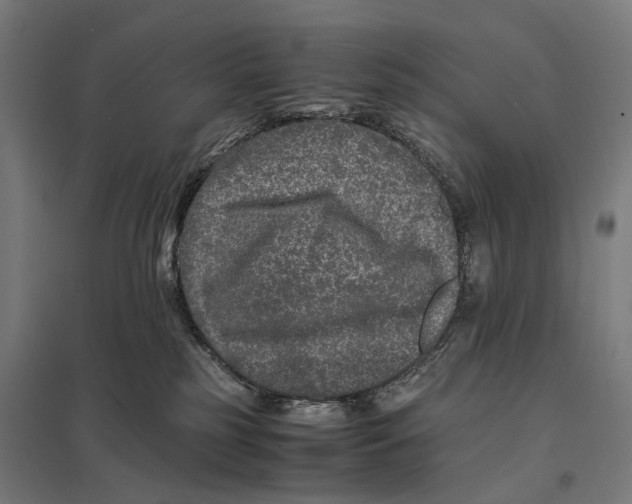 X0000097760185200803281642