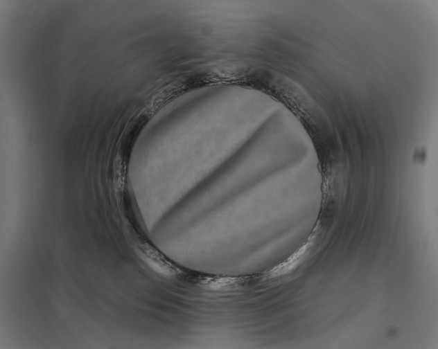 X0000097760186200803281642