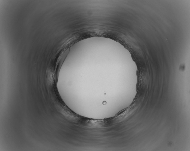 X0000097760188200803281642