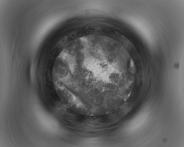 X0000097760189200803281642