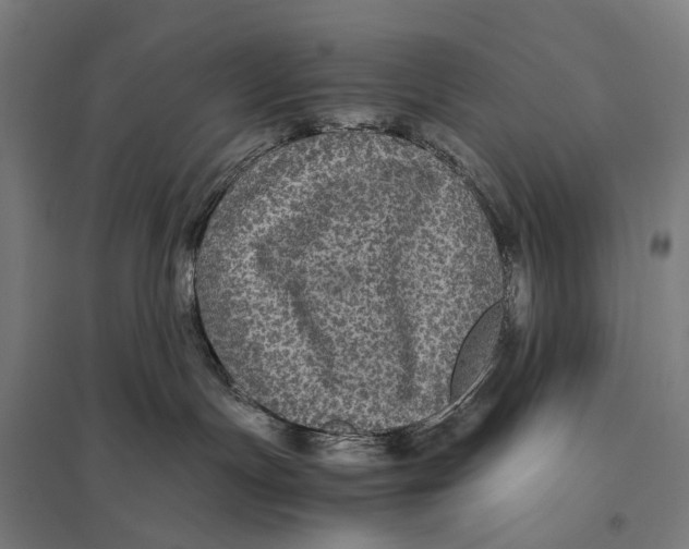 X0000097760191200803281642