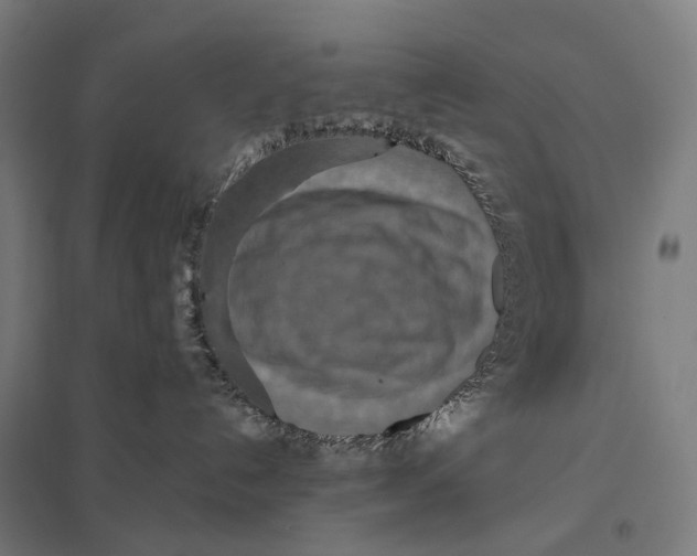 X0000097760192200803281642