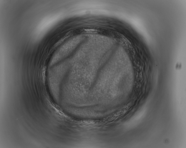 X0000097760194200803281642