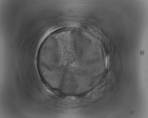 X0000097760195200803281642