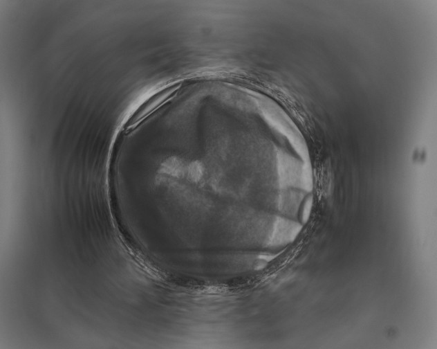 X0000097760196200803281642