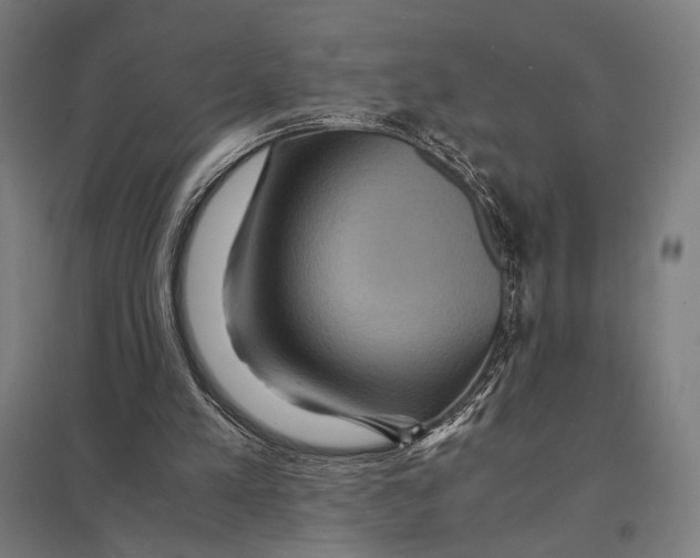 X0000097760197200803281641