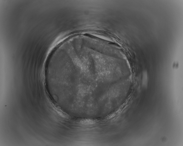 X0000097760198200803281641