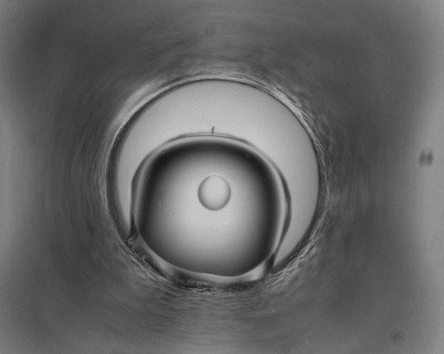 X0000097760199200803281641