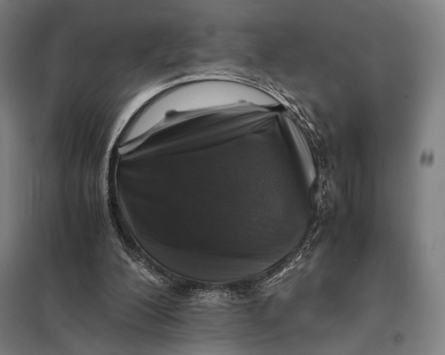 X0000097760200200803281641