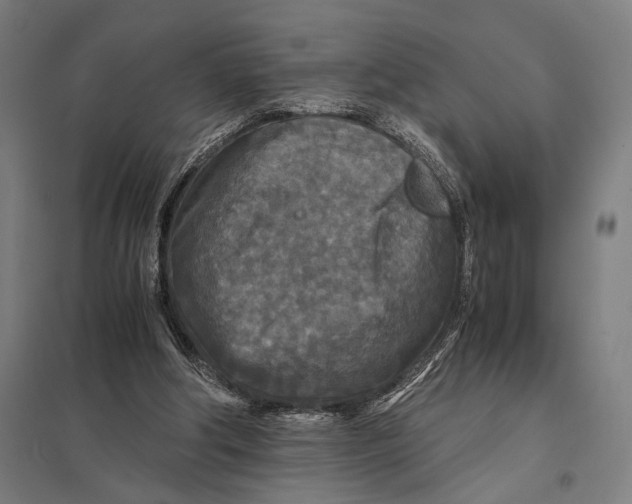 X0000097760202200803281641