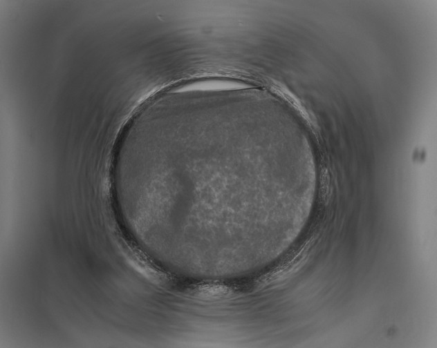 X0000097760203200803281641