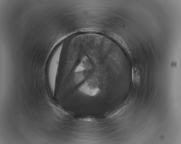 X0000097760204200803281641