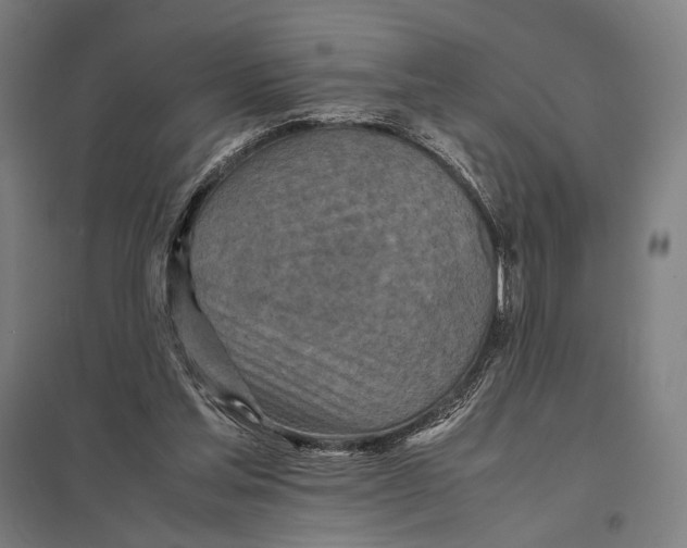 X0000097760205200803281641