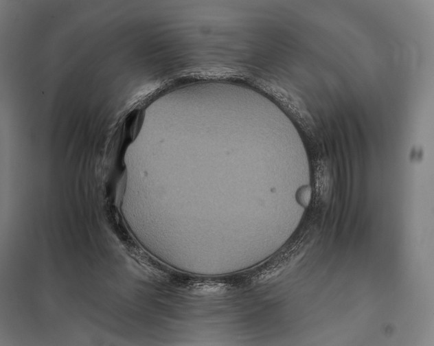 X0000097760206200803281641