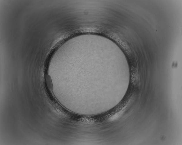 X0000097760207200803281641