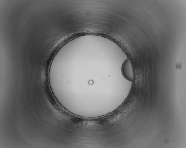 X0000097760208200803281641