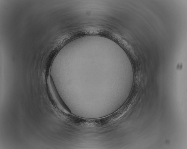 X0000097760209200803281641