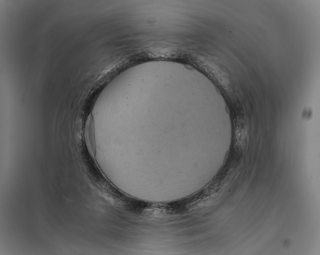 X0000097760211200803281641