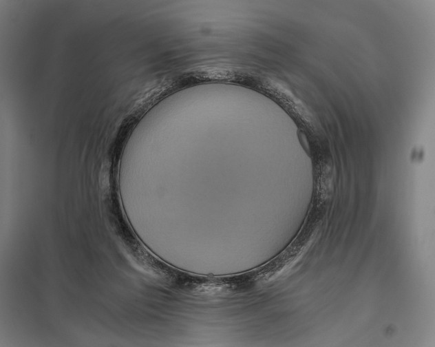 X0000097760213200803281641