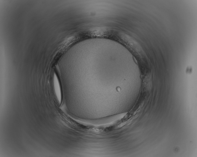 X0000097760217200803281641