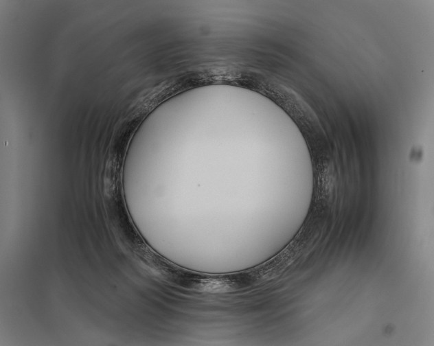 X0000097760218200803281641