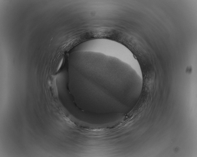 X0000097760219200803281641