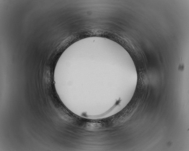 X0000097760220200803281641