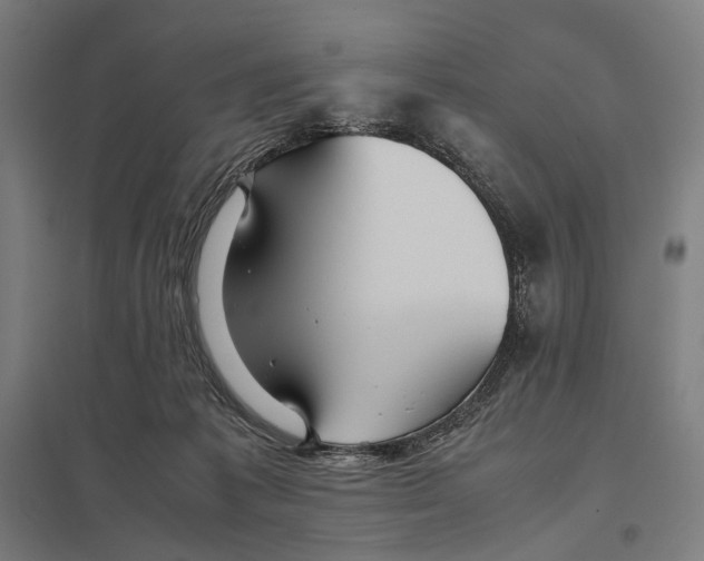 X0000097760221200803281641