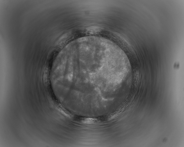 X0000097760222200803281641