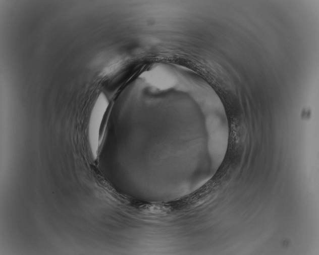 X0000097760223200803281641