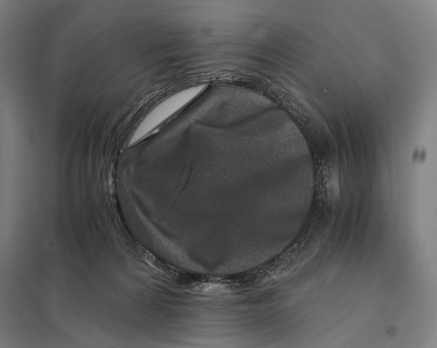 X0000097760224200803281641