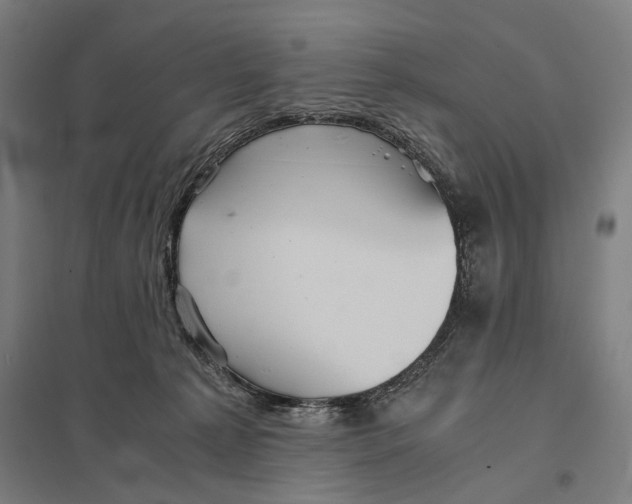 X0000097760225200803281641