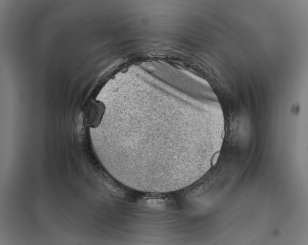 X0000097760228200803281641