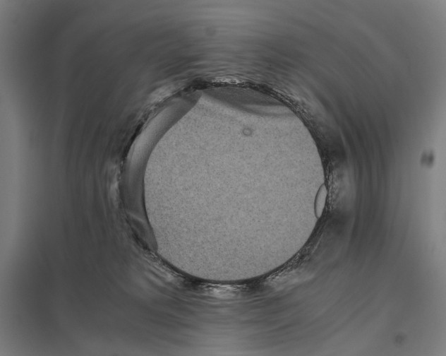 X0000097760229200803281641