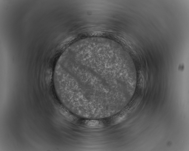 X0000097760230200803281641