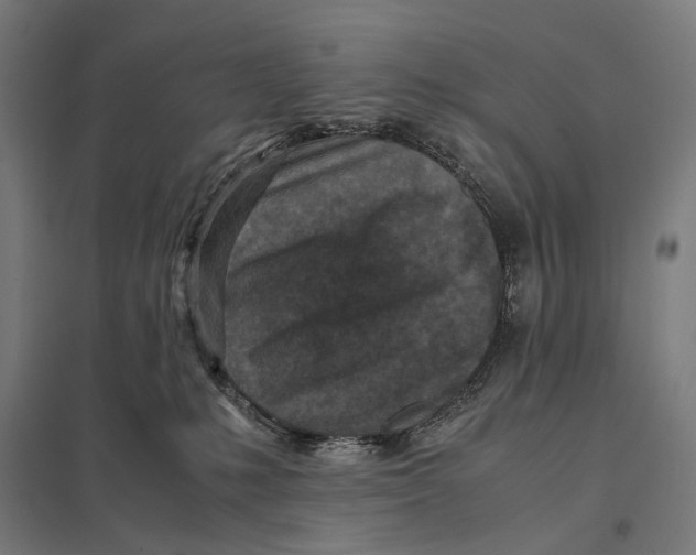 X0000097760231200803281641