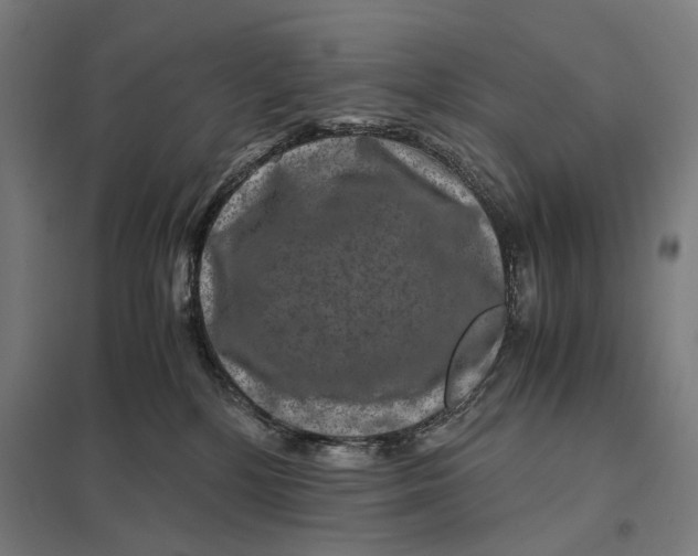 X0000097760232200803281641