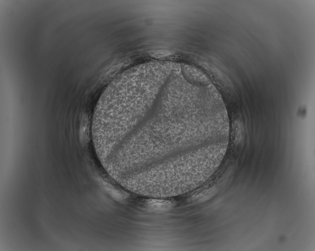 X0000097760234200803281641