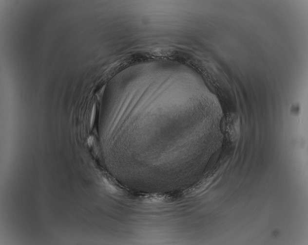 X0000097760235200803281641