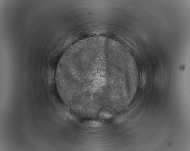 X0000097760236200803281641