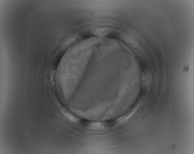 X0000097760237200803281641